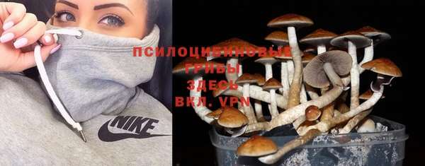 кокаин премиум Липки