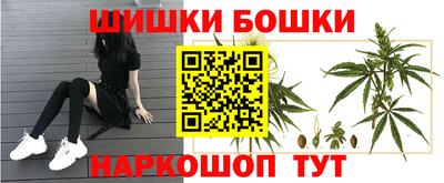a pvp Гагарин