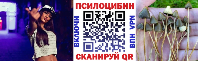Псилоцибиновые грибы ЛСД  Димитровград 