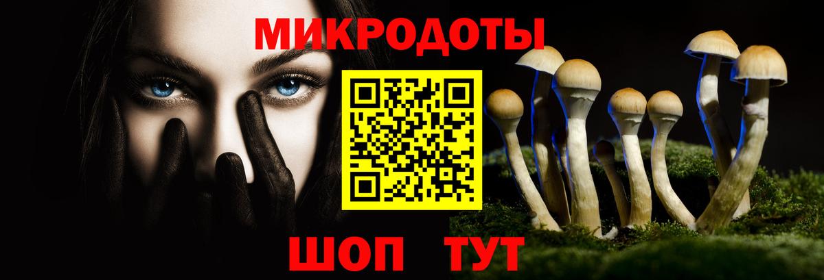 Псилоцибиновые грибы GOLDEN TEACHER  Вход с VPN  Димитровград 